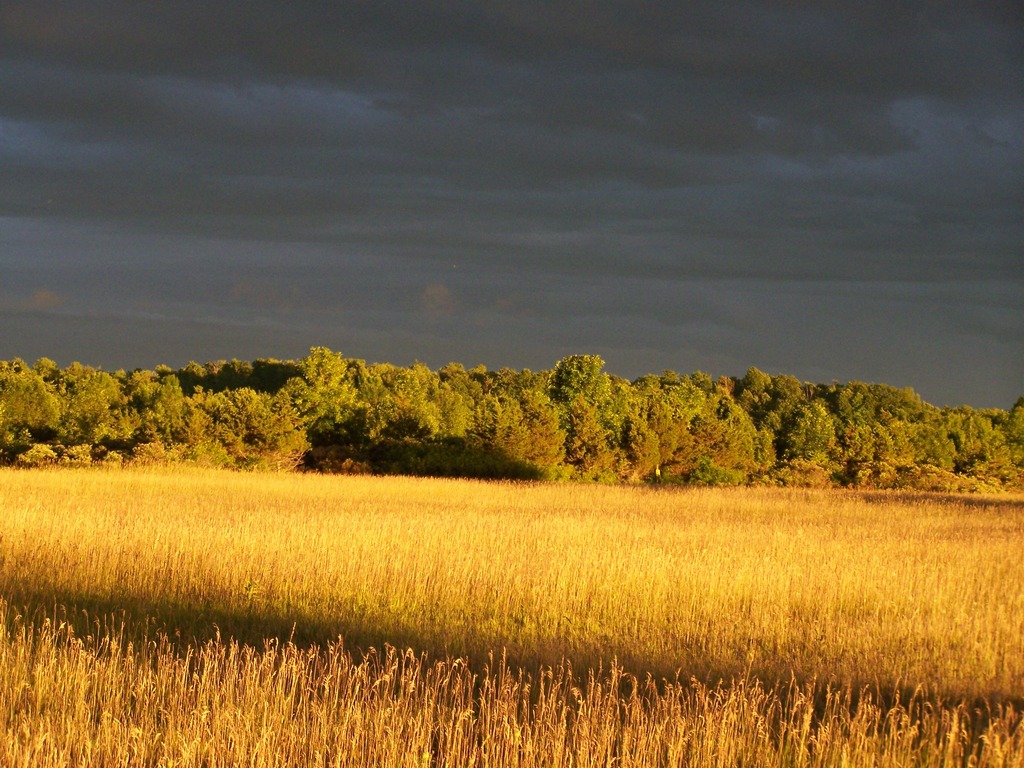 Chaumont Three Mile Bay Chamber of Commerce